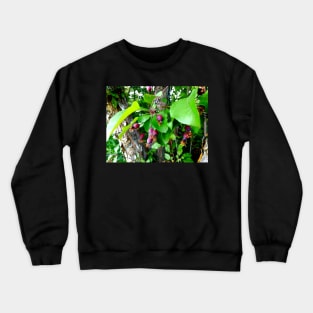 Crab Apple Buds Crewneck Sweatshirt